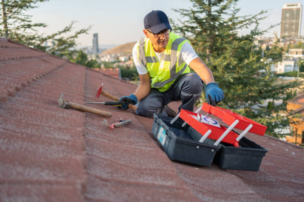 Best Hoarding Cleanup  in Chandler, IN